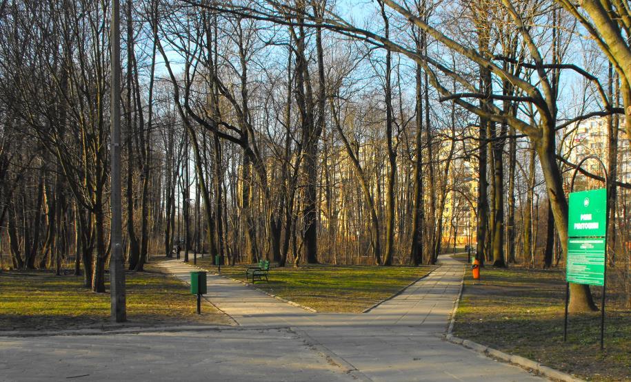 samosiewów, wykonano zabiegi pielęgnacyjne drzew, zrekultywowano trawnik, wyremontowano chodniki oraz uzupełniono sieć alejek