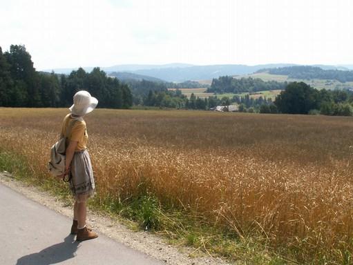 Inne zalety małych gospodarstw rolnych to m.in.: - Różnorodność.