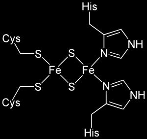 Centrum żelazowo-siarkowe białka Rieskego Reaktywność żelaza Żelazo reaguje ze wszystkimi rozcieńczonymi kwasami dając sole żelaza (II).