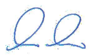 2017 r.