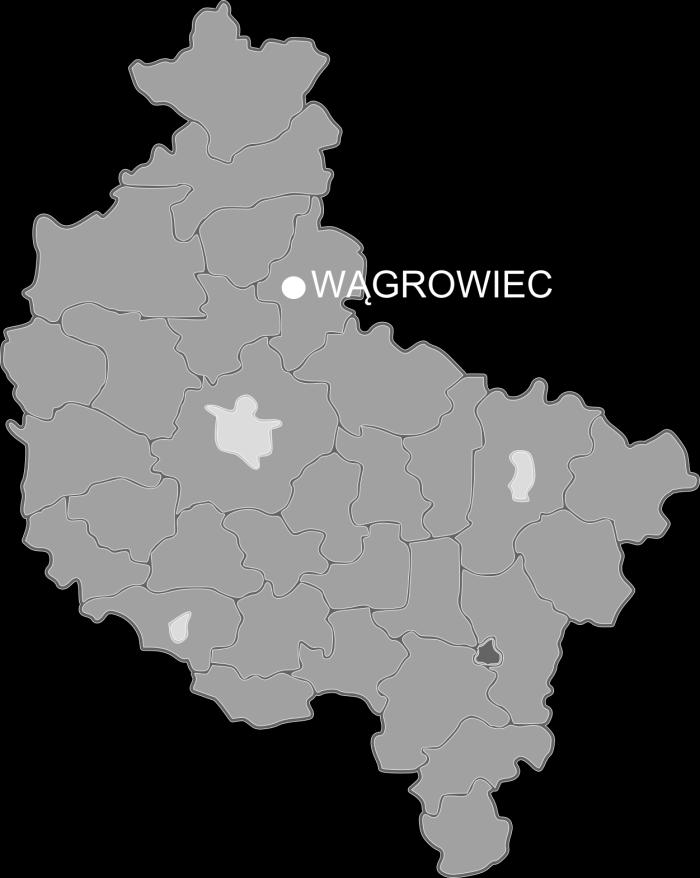 Green Key Lokalny Program Rewitalizacji miasta Wągrowca na lata 2017