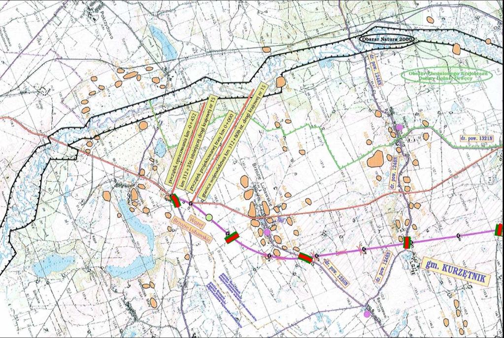 Na terenie planowanej inwestycji stwierdzono niewielką ilość drzewostanów mogących choćby potencjalnie spełniać kryteria dogodnego siedliska chronionych chrząszczy ksylofagicznych.
