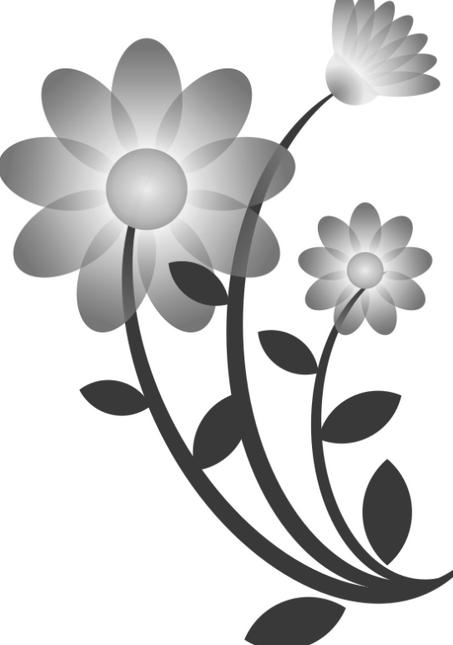 am - Special Intention 8:30 am - Elaine Wilczek - Blessing for Health + Patricia Buckley, - Souls in Purgatory Thursday, May 18, 2017 6:30 am + Helen Wolniak 7:30 am - Special Intention 8:30 am +