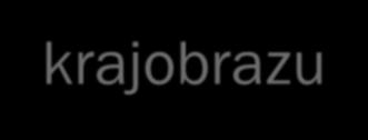 Profesjonalna
