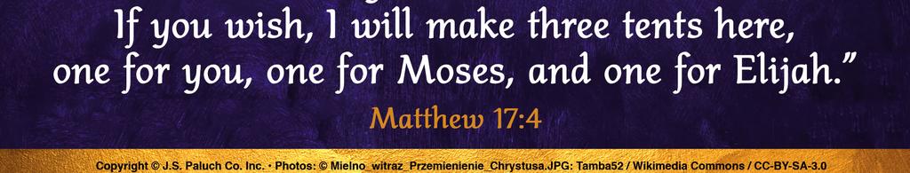 7:00 am - Latin 9:00 am - English 10:30 am - Polish First Friday Masses: 8:30