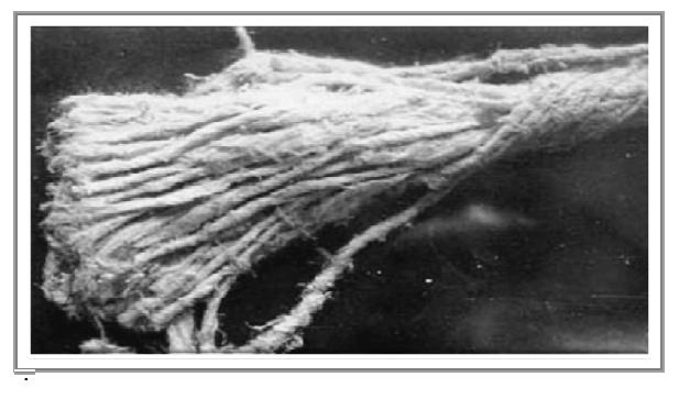 rurach odprowadzających parę, zraszalnikach itp. (w formie izolacji cieplnej ze sznura azbestowego). Zdjęcie 7 Sznur azbestowy stosowany w uszczelnieniach izolacji cieplnej 4.2.