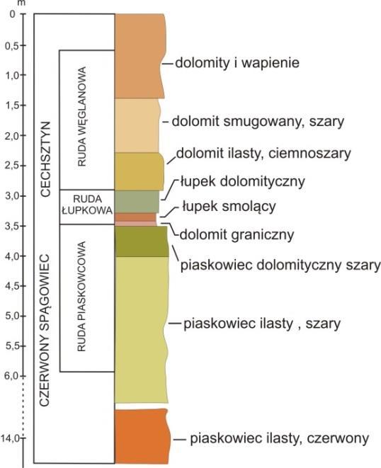Łupek miedzionośny Legnicko-Głogowskiego Okręgu Miedziowego 9 o czarnym zabarwieniu (zawiera średnio około 1% substancji organicznej maksymalnie do 3%) i tłustym połysku.