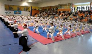 Organizatorem turnieju był Trzcianecki Klub Karate oraz związek sportowy World Shotokan Institute - Poland.