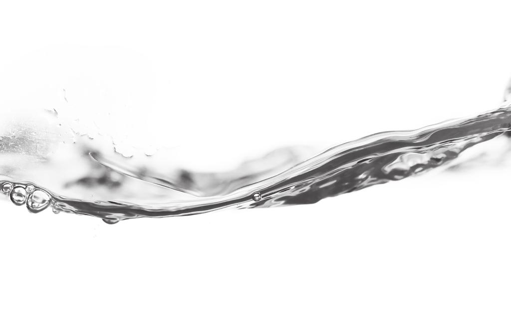 FMT Swiss AG Fluid Management Technologies Swiss AG Gewerbestraße 6 6330 Cham /