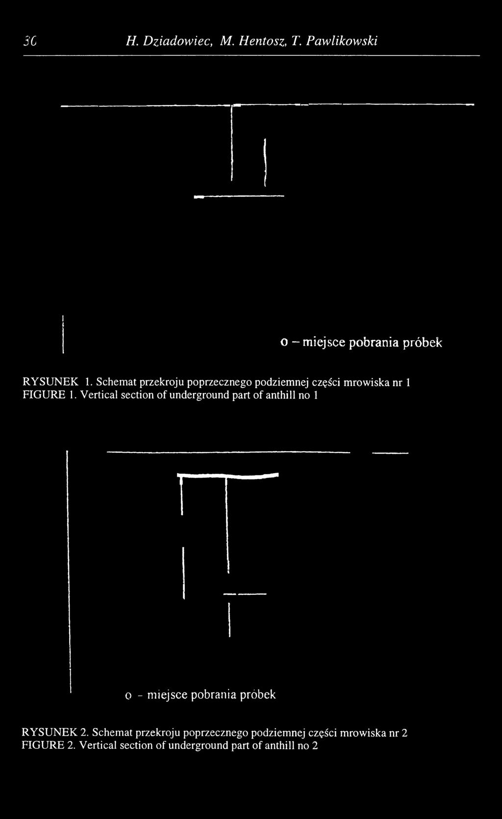 Vertical section of underground part of anthill no 1 o - miejsce pobrania próbek RYSUNEK 2.