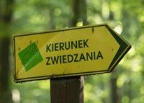 Jej początek znajdziemy na południowo-zachodnim krańcu obszernego parkingu w lesie przy drodze krajowej nr 19 (odcinek: Kraśnik - Janów Lubelski) pomiędzy