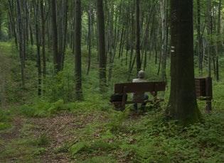 Niebawem dojdziemy do poprzecznej drogi gruntowej, skręcamy w lewo i po chwili przecinamy szeroką drogę utwardzoną.