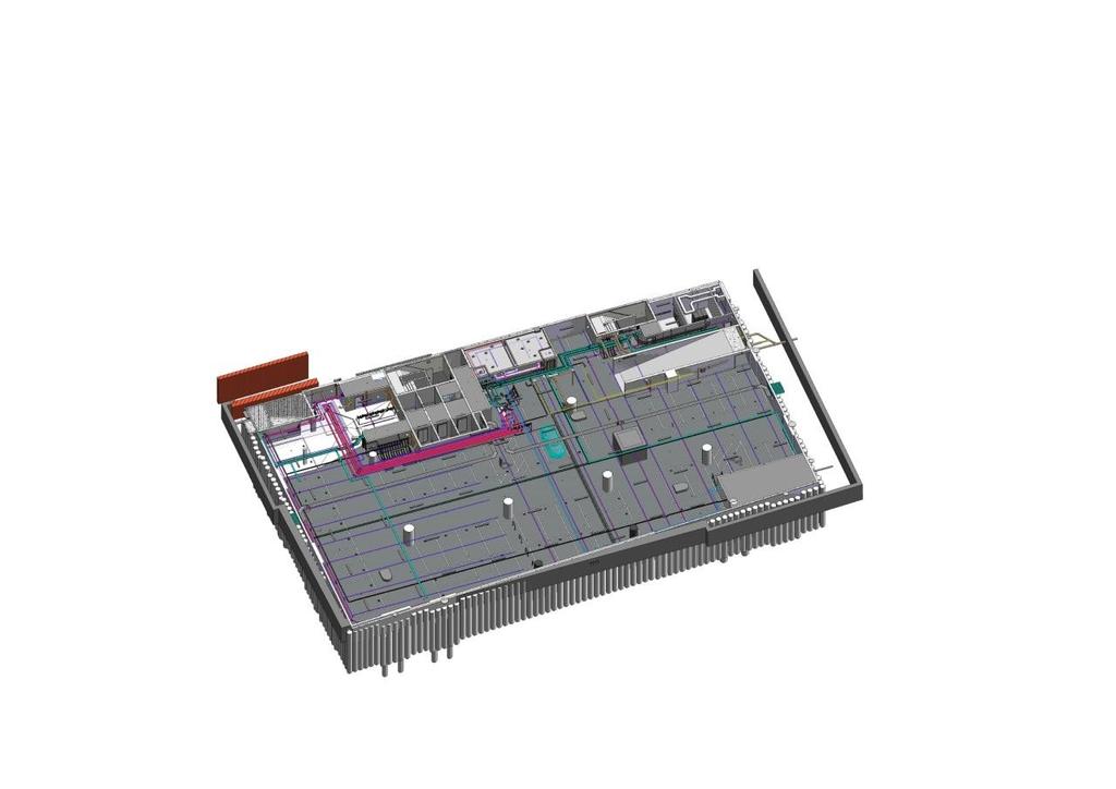 BAM Construct + BAM FM + BAM Plants =
