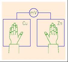 Doświadczenie 11: Bateria ręczna Dwie płytki miedziana i cynkowa przymocowane do
