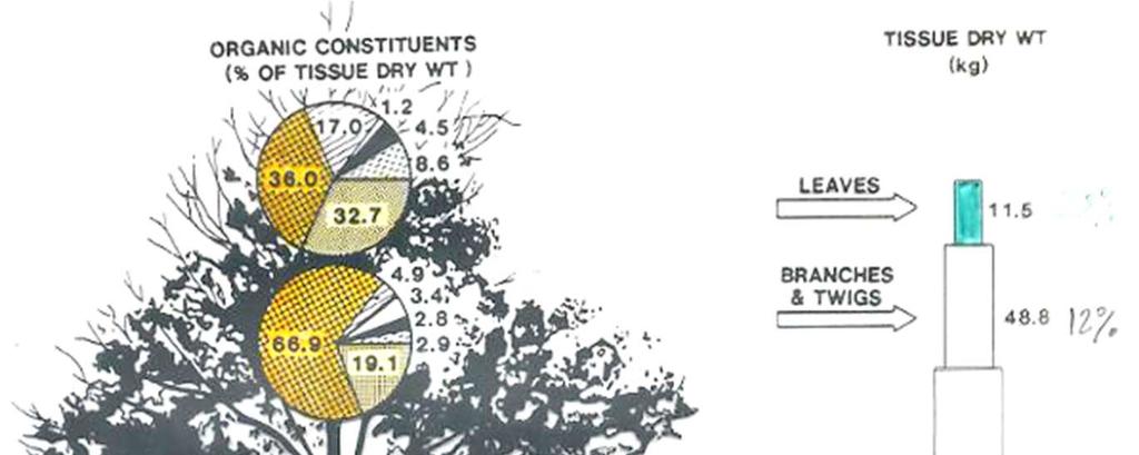 SKŁADNIKI ORGANICZNE (% SUCHEJ 8,6 MASY) 17 36 4,5 1,2 4,9 2,9 2,8 32,7 3,4 9,1