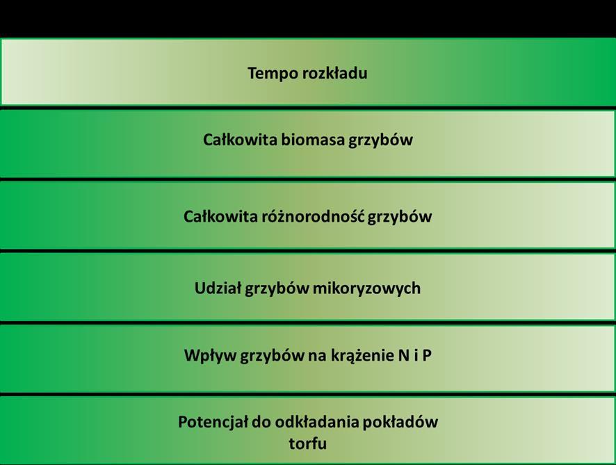 Najważniejsze wyniki i wnioski Niniejsza praca pozwoliła na zaproponowanie dwóch scenariuszy rozkładu materii roślinnej w ekosystemach torfowiskowych (Schemat).