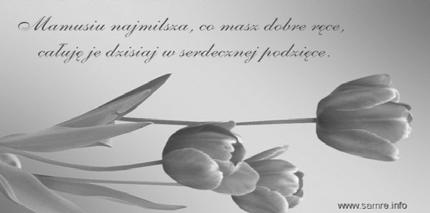 wszelkie od cię oddalały, Aż na żołnierza wychowały ciebie, W serdecznej trosce i codziennej męce A dziś samotna tęskni stara matka Za synem strojnym w mundur wymarzony.