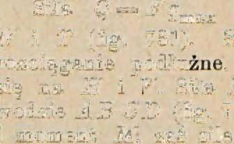 = (4 + If): (l' Z X), F, C:(h 2 ).