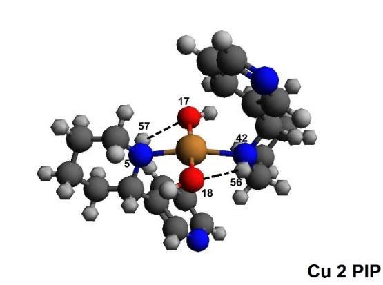 Kompleksy neonikotyny z jonami miedzi (II) Kompleksy Cu(NeoNik) 2 (OH) 2 Azot