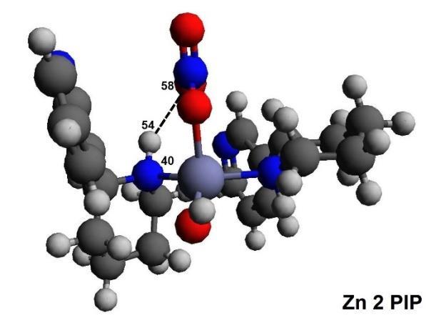 Kompleksy neonikotyny z jonami cynku (II) Kompleksy Zn(NeoNik) 2 (OH)(NO 3 ) Azot