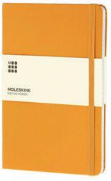 notebook / notepad (240 lined pages) with hard cover and inner pocket, ribbon