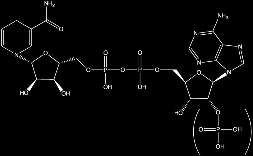 NAD(P) + NAD +