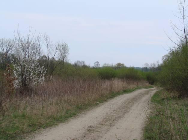 Terasa zalewowa Raby na prawym jej brzegu