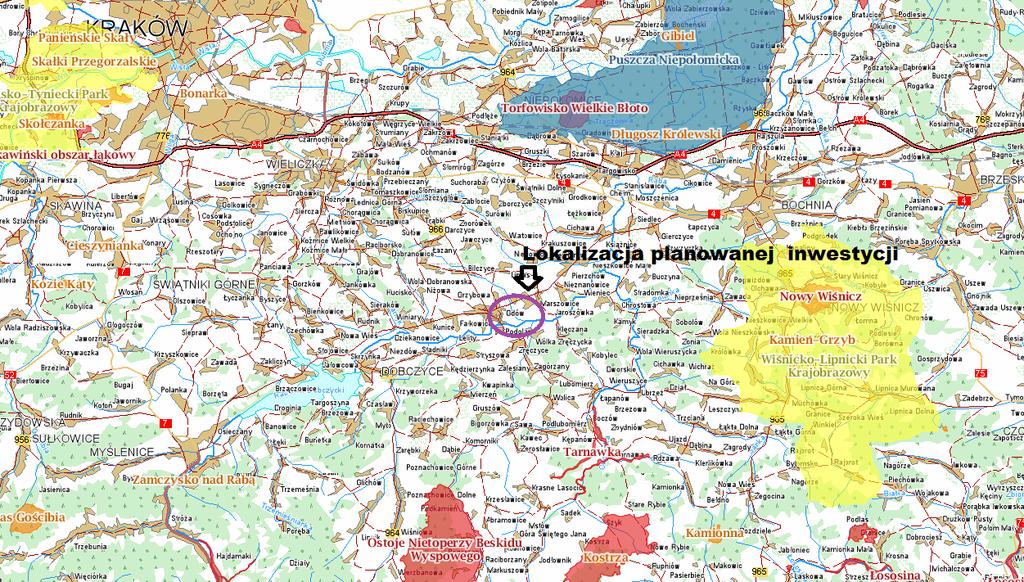 Gatunki podlegające ochronie stwierdzone na terenie inwestycji: Ochrona gatunkowa ścisła: rośliny: -cis pospolity Taxus baccata ptaki: -świergotek łąkowy Anthus pratensis, -jastrząb Accipiter