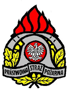 PR 5550/ 1 /11 Komenda Powiatowa Państwowej StraŜy PoŜarnej w Oświęcimiu ZESTAWIENIE STATYSTYCZNE KOMENDY POWIATOWEJ PAŃSTWOWEJ STRAśY POśARNEJ W OŚWIĘCIMIU DOTYCZĄCA ZAISTNIAŁYCH ZDARZEŃ,