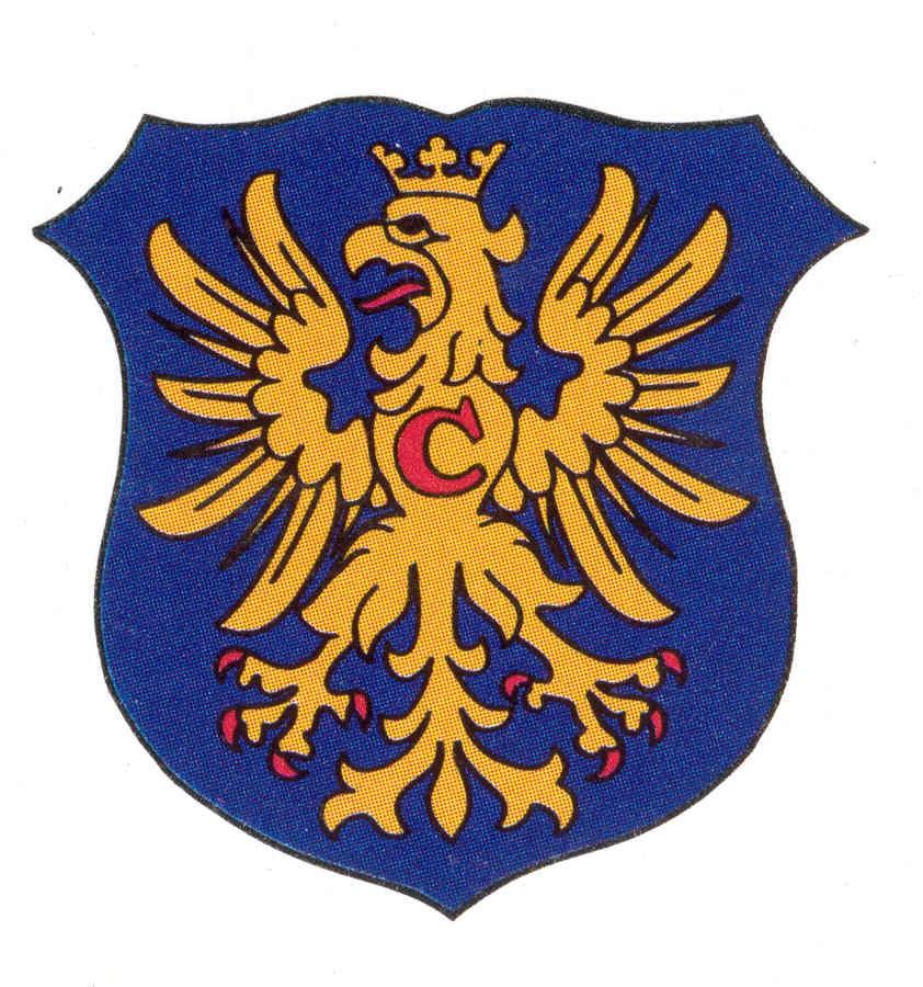 ZAMAWIAJĄCY: POWIAT CIESZYŃSKI REPREZENTOWANY PRZEZ ZARZĄD