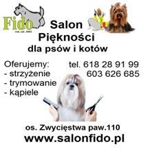 MIEJSCE