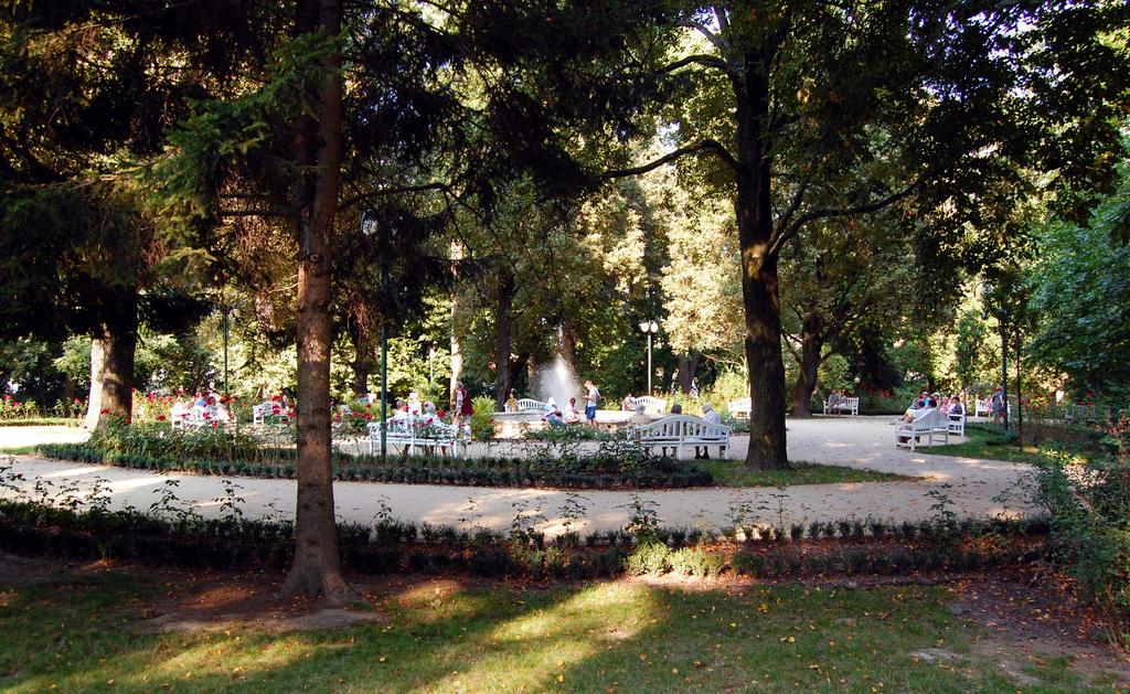 2. Nauczyciel: Zdjęcia wykonano w parkach naszego miasta, jest ich w Lublinie wiele i są bardzo różnorodne. Może znasz ten park? Co o nim wiemy?