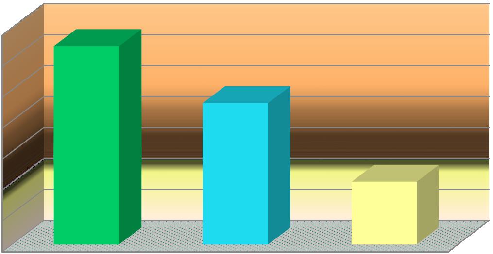Tabela 9 Liczba przeprowadzonych interwencji policyjnych w Gminie Ostrów Mazowiecka Liczba przeprowadzonych interwencji policyjnych w Gminie Ostrów Mazowiecka w roku 2015 Inne (np.