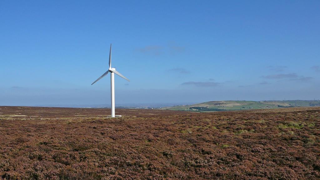 Dodanie opisów, tłumaczenie etc. to tworzenie utworu zależnego. Fot. Turbine, aut.