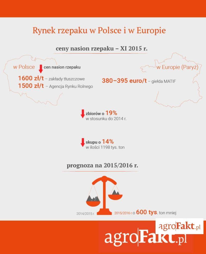 .pl https://www..pl Sytuacja na rynku rzepaku w Polsce i w Europie. Na początek powiedzmy trochę o rynku rzepaku. W listopadzie 2015 r. zaobserwowano spadek cen nasion rzepaku na rynku krajowym.