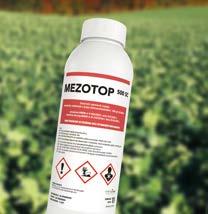 KATALOG RZEPAK / JESIEŃ 17 Dostępne opakowania: 1 l, 5 l, l MezoTop 0 SC {SUBSTANCJA CZYNNA: metazachlor} PRODUKT MezoTop 0 SC jest środkiem chwastobójczym, koncentratem w postaci stężonej zawiesiny