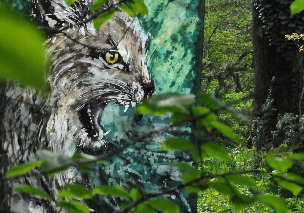 WILD COLLECTION The "Wild Collection" project is a consequence of my fascination with the mountains and the wild life.
