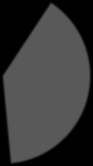 RADPOL S.A. Przychody