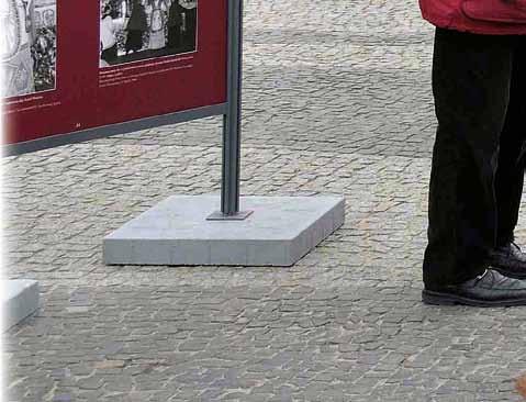 przedstawiciele poszczególnych parafii. Szczególna rola przypadła miejscowościom, które znalazły się na szlaku przejazdu kopii obrazu Czarnej Madonny z Poznania do Częstochowy. Były to: Środa Wlkp.