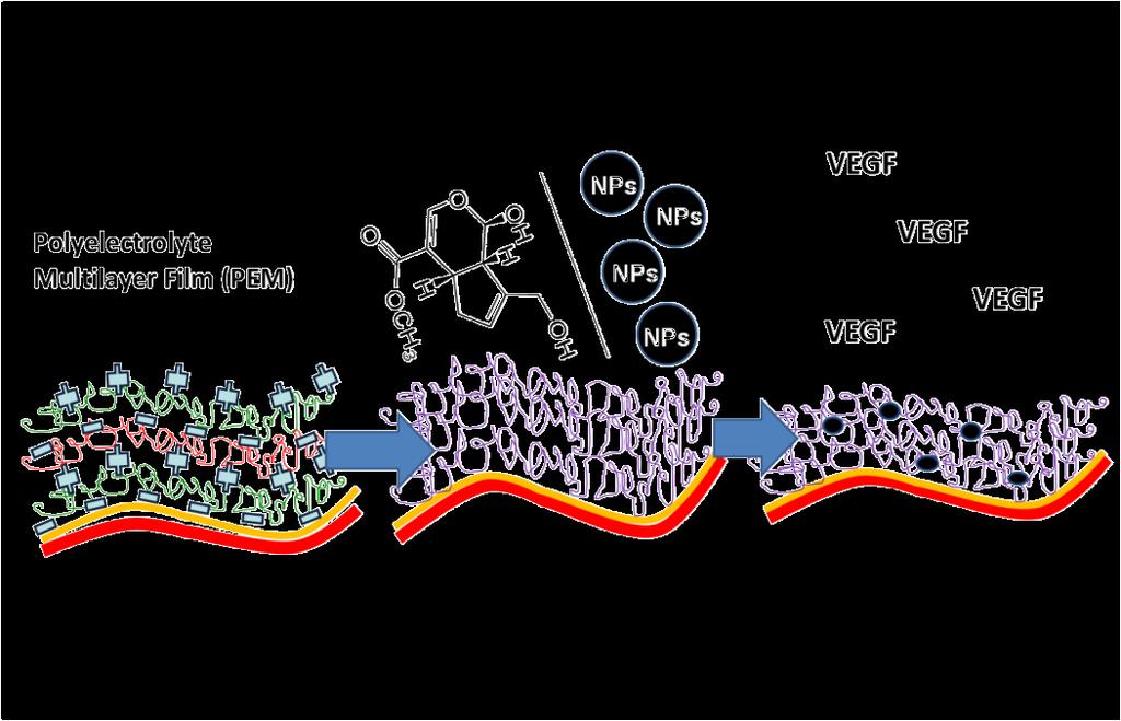 Powłoki Self-assembling, biomimetic porous coatings for