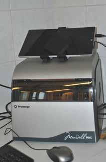 genetycznego (tj.