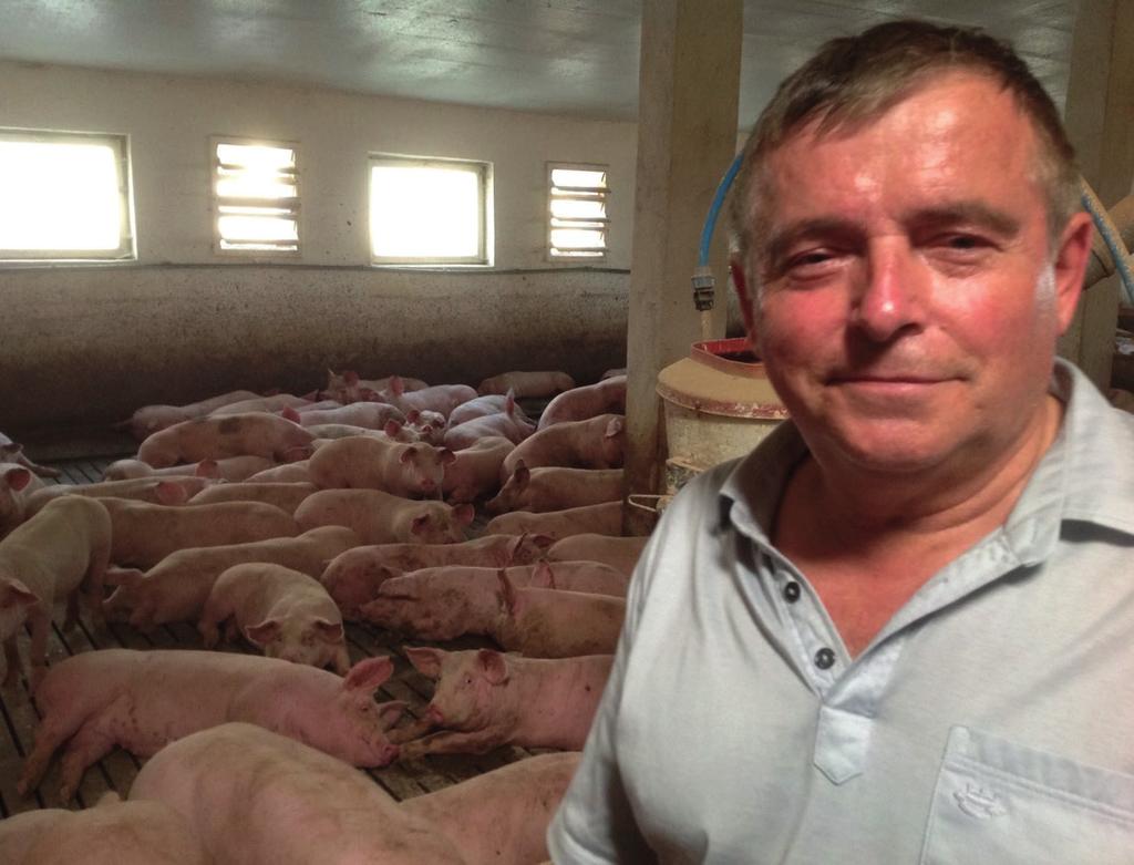 Zysk w zgodzie z naturą Od wielu lat na rynku obok dużych ferm produkujących świnie w systemie intensywnym funkcjonują również gospodarstwa, które podchodzą do zagadnienia produkcji w sposób bardziej