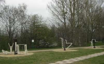 Zieleni 6