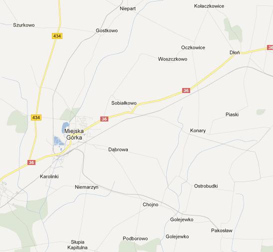 Rys. 1. Położenie Dąbrowy (źródło: http://maps.google.pl) 2.3. Demografia Dąbrowę zamieszkują obecnie 373 osoby. Stanowi to 3,91% całkowitej liczby mieszkańców gminy.
