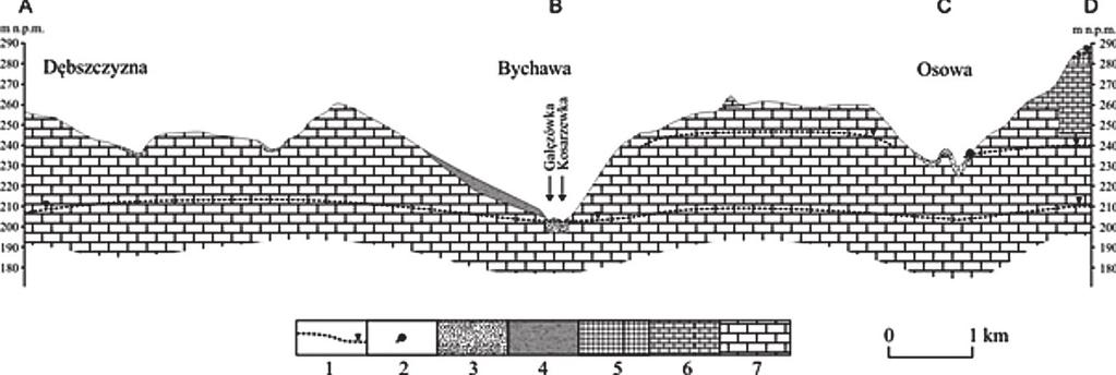 Charakterystyka hydrologiczna Kosarzewki 15 (Wyrwicka 1983; Marszałek i in. 1996) oraz lokalnie sarmackie osady miocenu.