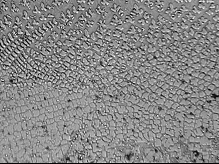 50 µm 50 µm Rys. 4.
