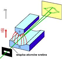 Doświadczenie Sterna-Gerlacha (dośw. 90, Stern 943) skolimowana (szczelinami) wiązka at. Ag w próżni (st. podst.