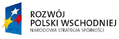 Umowa nr JRP.IV.272..2013 WZÓR zawarta w dniu... 2013 r. w Olsztynie pomiędzy: Gminą Olsztyn z siedzibą Olsztyn 10-101, pl.