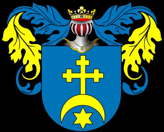 Die adligen polnischen Familien Dolszkiewicz 