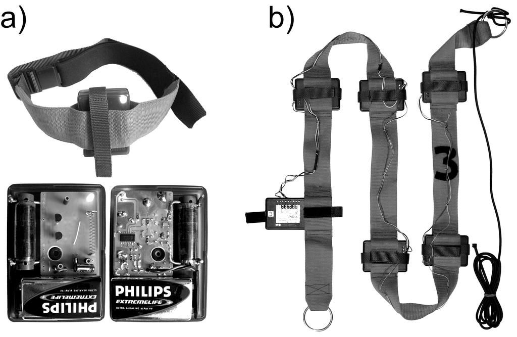 Measurements of motion in water slide 89. Fig. 1. Transmitter (a) and a band with a set of detectors (b) Rys. 1. Nadajnik (a) i opaska z zestawem detektorów (b) Osie cewek nadajnika i odbiornika zostały ustawione w układzie pomiarowym pod kątem prostym.